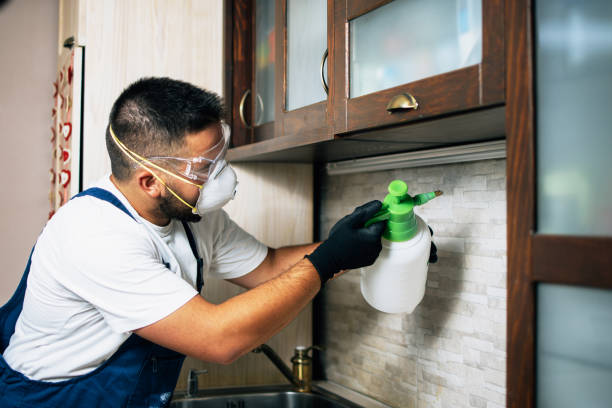 Best Pest Control for Restaurants  in Fayette, OH