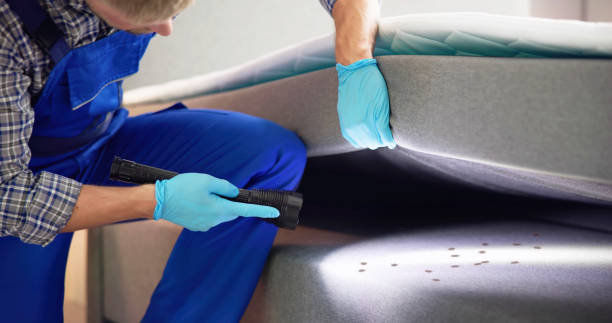 Best Termite Control Services  in Fayette, OH