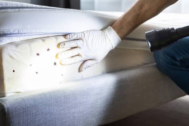 Best Pest Control for Homes  in Fayette, OH