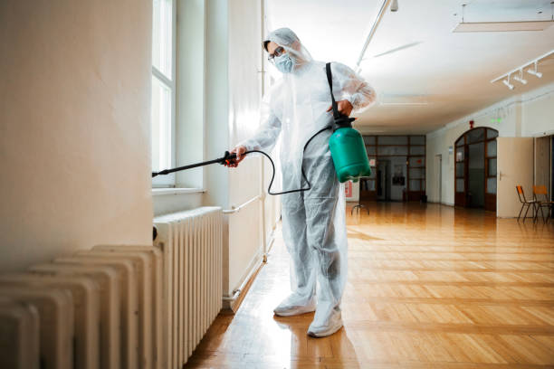 Best Flea Control Services  in Fayette, OH