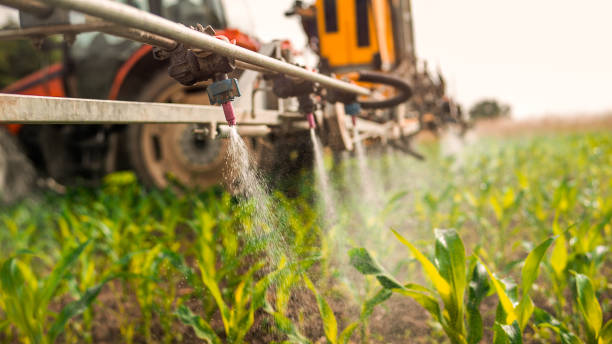 Best Pest Removal Services  in Fayette, OH