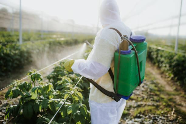 Flea Control Services in Fayette, OH